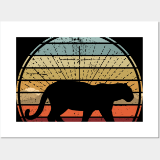 Cougar Sunset Posters and Art